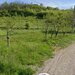 Leordeni, Arges,